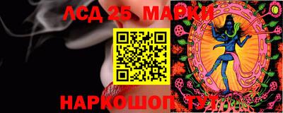 трава Кандалакша