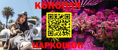 трава Кандалакша