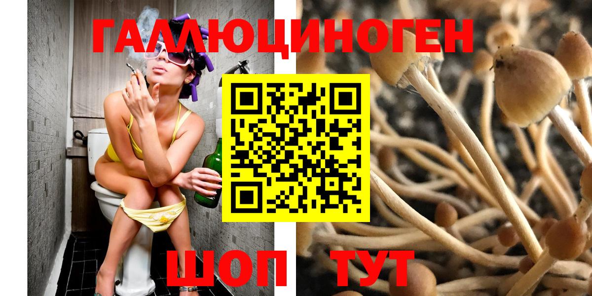 Галлюциногенные грибы мухоморы  Вход с VPN  Галлюциногенные грибы Cubensis  Красный Сулин 