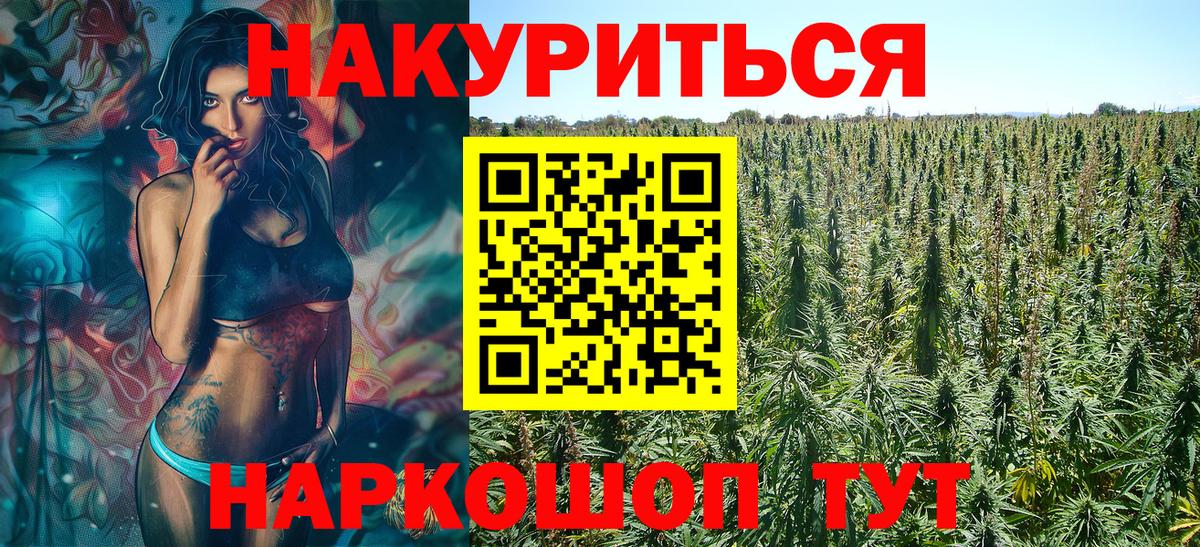 Бошки марихуана ГИДРОПОН Красный Сулин